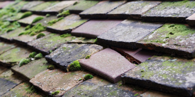 Addingrove roof repair costs